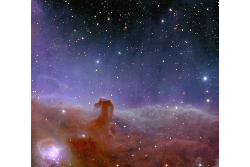 Photo prise par le télescope Euclid de la Horsehead Nebula